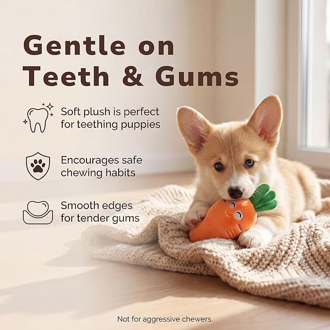 Pets&Goods Plush Squeaky Dog Toys – 5-Pack Fruit & Veggie Set for Puppies & Small Dogs – Soft, Crinkle, Durable Toys for Indoor Play, Teething Puppies & Dog Gifts