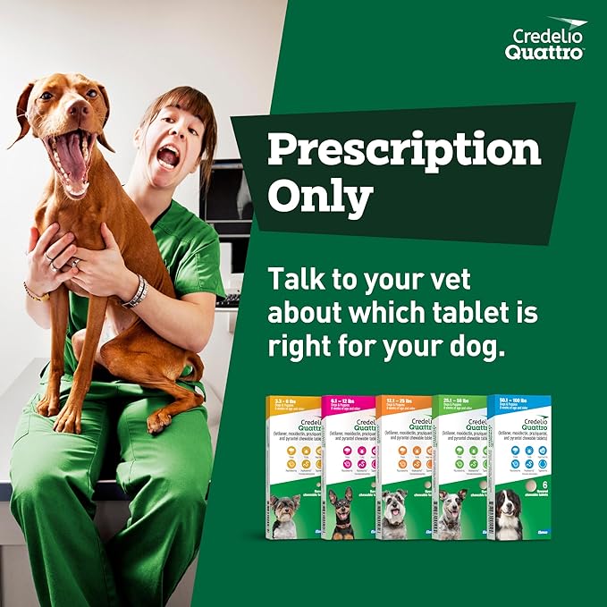 Credelio Quattro Dog Flea & Tick Treatment + Heartworm & Parasite Protection, 25.1-50 lbs (6 Chewable Tablets)