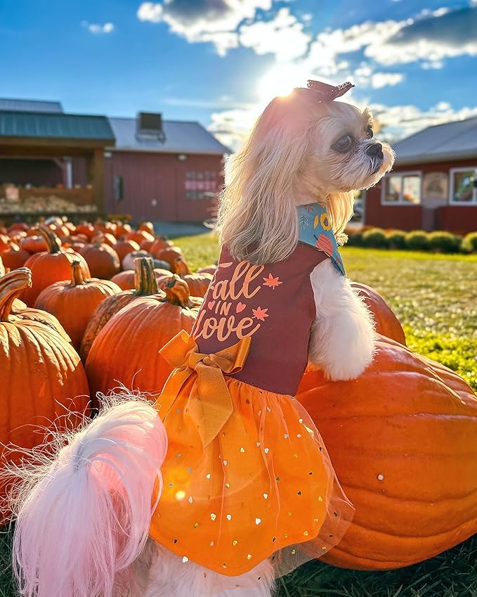 Fitwarm Thanksgiving Fall in Love Dog Dress, Sparkly Dog Clothes for Small Dogs Girl, Holiday Pet Tutu Dress, Cat Outfit, Brown, Orange, Small