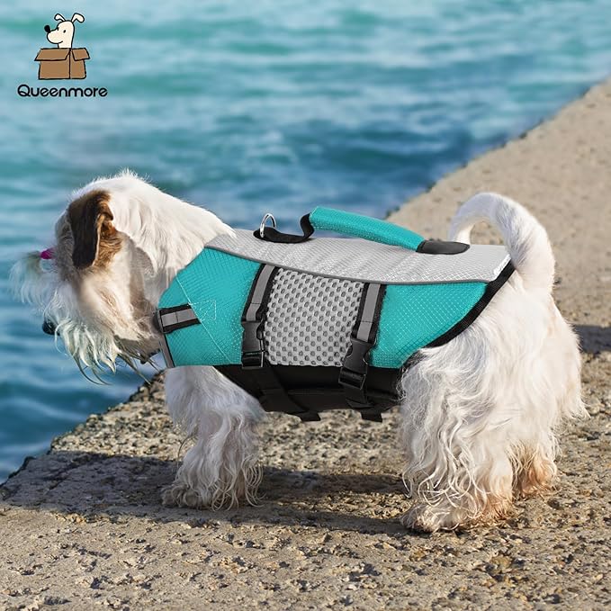 Queenmore Dog Life Jacket Swimming Vest Small Medium Dogs Neoprene Boating Life Preserver Lightweight Reflective Cat Puppy Kayaking Lifesaver for French Bulldog,Yorkie Terrier,Bichon(Peacock Green,S)