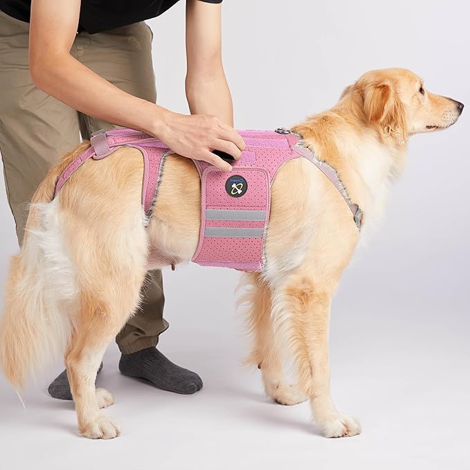 Coodeo Dog Back Brace for Dogs Arthritis, Pet Back Bracer for IVDD, Back Protector Helps Pain Relief, Surgical Recovery and Rehabilitation, Dogs Back Disease Prevention. (Pink,X-Large)