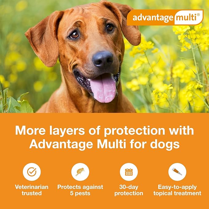 Advantage Multi Topical Solution for Dogs 6 Doses, 88.1-110 lbs (Brown)