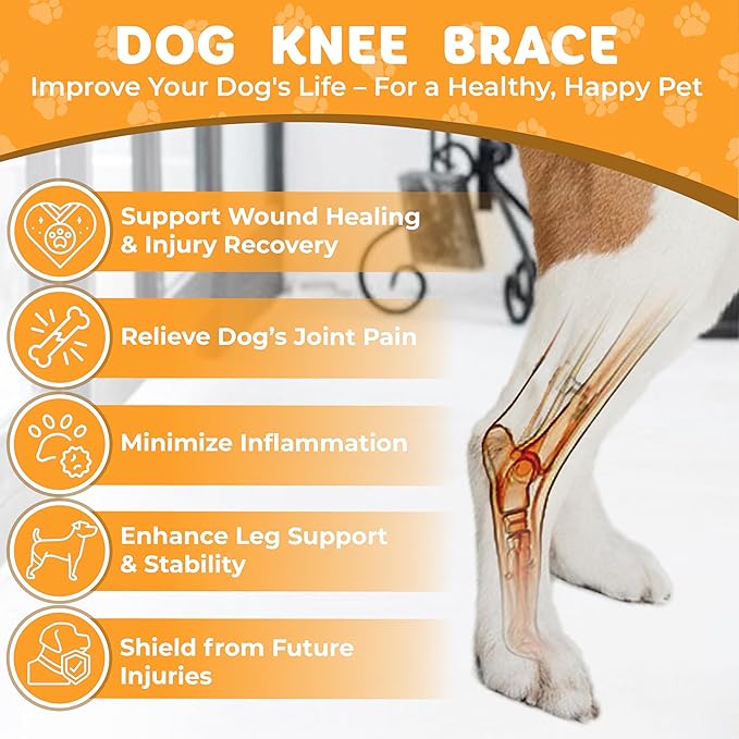 New Dog Knee Brace for Luxating Patella, ACL or Cruciate Ligament Injury Recovery, Osteoarthritis, Hip Dysplasia, or Arthritis Pain Relief, Flexible Spring Support (Large), Black