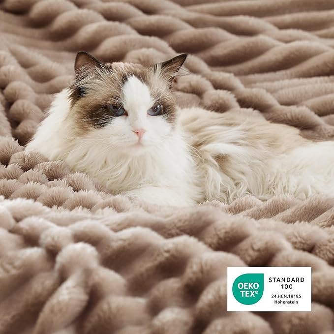 Bedsure Sherpa Blanket Twin Size for Couch - Super Soft, Cozy Thick Warm Blanket for Winter, GentleSoft Plush & Fluffy Throw Gift for Women, Room Decor, Mocha Meringue, 60x80 Inches