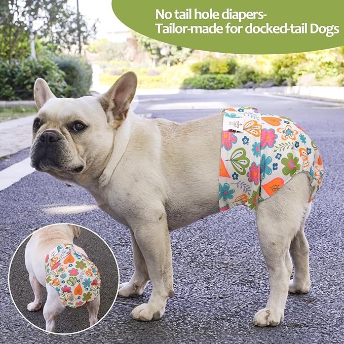 CuteBone Washable Dog Diapers Female No Tail Hole 3 Pack Reusable Doggie Period Training Pants for Docked-Tail Frenchie French Bulldog Boston Terrier Without Tail WWD19S