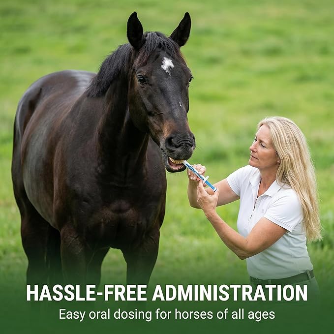 6-Pack Ivermectin Horse Paste 1.87% – Apple Flavored Oral Dewormer for Horses