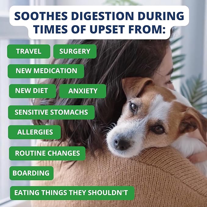 Under the Weather Bland Diet for Dogs | Easy to Digest for Sick Dogs |Always Be Ready| Contains Electrolytes - Natural Freeze Dried 100% Human Grade Meats| 1 Pack- Rice, Hamburger & Sweet Potato - 6oz