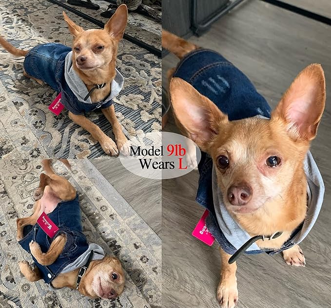 Pet Clothes Dog Jeans Jacket Cool Blue Denim Hoodie Coat, Puppy Clothing Shirt Costume, Doggy Vintage Washable Lapel Vest, Dog Classic T-Shirt Apparel for Small Medium Dogs Cats (Blue, X-Small)