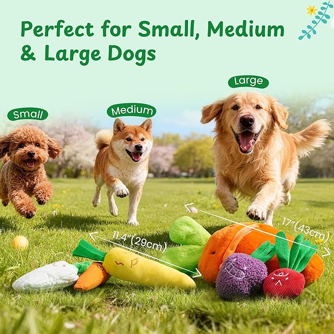 Nocciola Easter Squeaky Carrot Dog Toy Set– Hide and Seek 5 Small Carrots Inside a Large Plush Carrot with Squeaker & Crinkle Sounds for Small Medium Large Breeds, Spring Pet Gifts