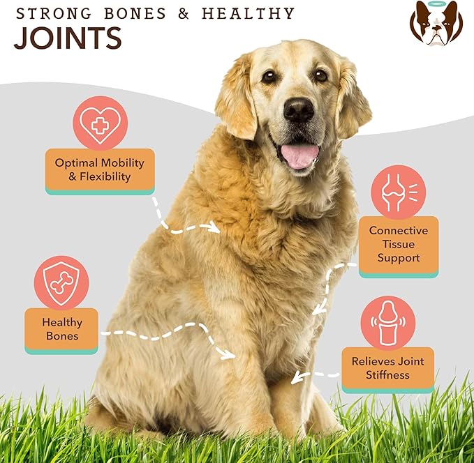 Natural Dog Company Dog Supplements for Seniors & Active Dogs - Multivitamin Chews & Hip & Joint Relief - Complete Nutritional Support for Joint Health, Vitamins for Dogs, Energy, & Vitality