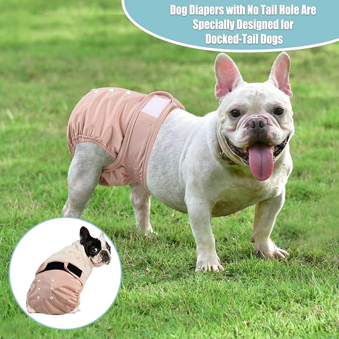 wegreeco Frenchie Dog Diapers Female No Tail Hole, Washable Pet French Puppy Bulldog Diapers Female for Period Heat, Reusable Doggy Doggie Dog Diapers（Large）