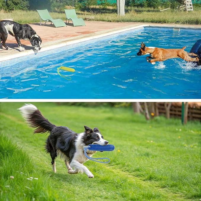 SCENEREAL Floating Dog Toys for Water Fetch, 8.5" Dog Water Toy for Medium Large Dogs, Tough Interactive 2 Pack Fetch Bumpers with Durable Rope for Summer Training Teething Outdoor Pool, Blue & Green