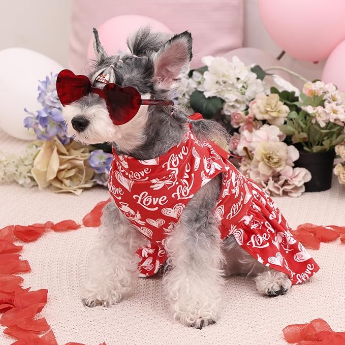 CuteBone Turtleneck Dog Velvet Dress Valentine's Day Puppy Skirt Costume Pet Clothes Cat Apparel with Bow Hair Rope for Small Dogs CVD19XS