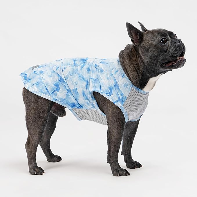 Fitwarm 2 Pack Ice Lemon UPF 50+ UV Sun Protection Dog Shirt, Lightweight Dog Cooling Vest, Quick Dry Summer Clothes for Small Dogs Boy Girl, Pet Outfit, Blue, Yellow, White, Medium
