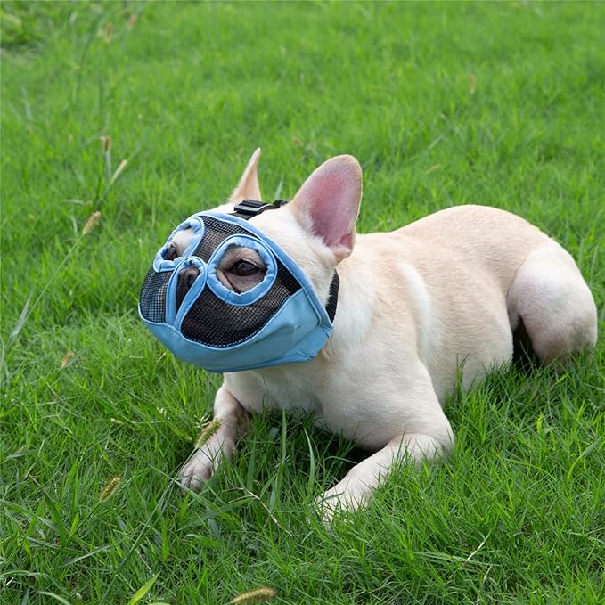 Short Snout Dog Muzzles- Adjustable Breathable Mesh Bulldog Muzzle for Biting Chewing Training Grooming Dog Mask,Blue M