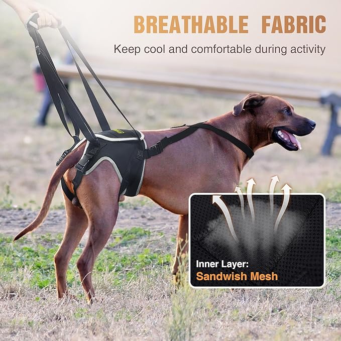 Dog Lift Harness for Small Dogs, Adjustable Hind Leg Sling for Walking Support, Helps with Hip Dysplasia, Arthritis & Post-Surgery Recovery, Back Leg Support Harness, Size S
