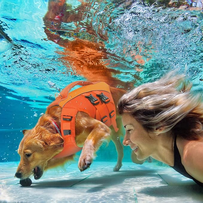 Queenmore Dog Life Jacket,Pet Life Vest for Swimming,Adjustable Reflective Pet Swimming Vest,High Buoyancy Dog Life Jacket,Pet Life Preserver(Orange,2XL)