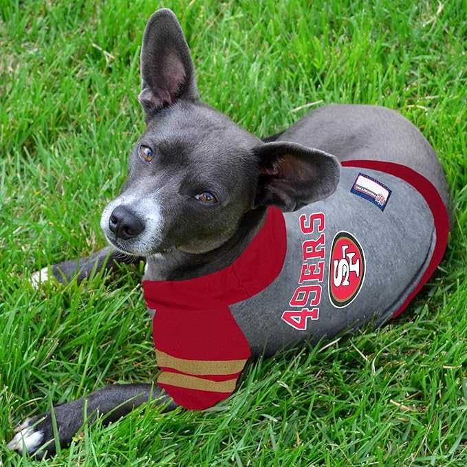 San Francisco 49ers Hoodie Tee Shirt
