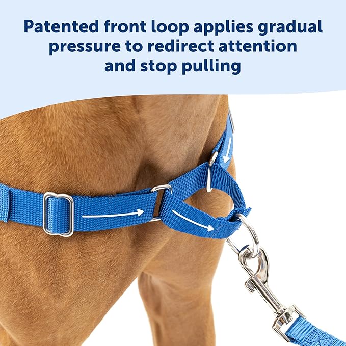 PetSafe Easy Walk No-Pull Dog Harness - The Ultimate Harness to Help Stop Pulling - Take Control & Teach Better Leash Manners - Helps Prevent Pets Pulling on Walks, Small/Medium, Red/Black