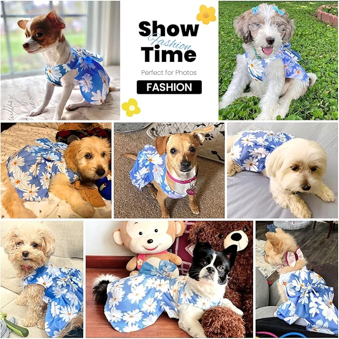 Cute Dog Dress Small Dog Clothes for Girls Female Puppy Outfits Floral Pet Summer Clothes Bowknot Doggy Harness Dress Cat Princess Dresses for Holiday Birthday Party (Blue Daisy, Small)