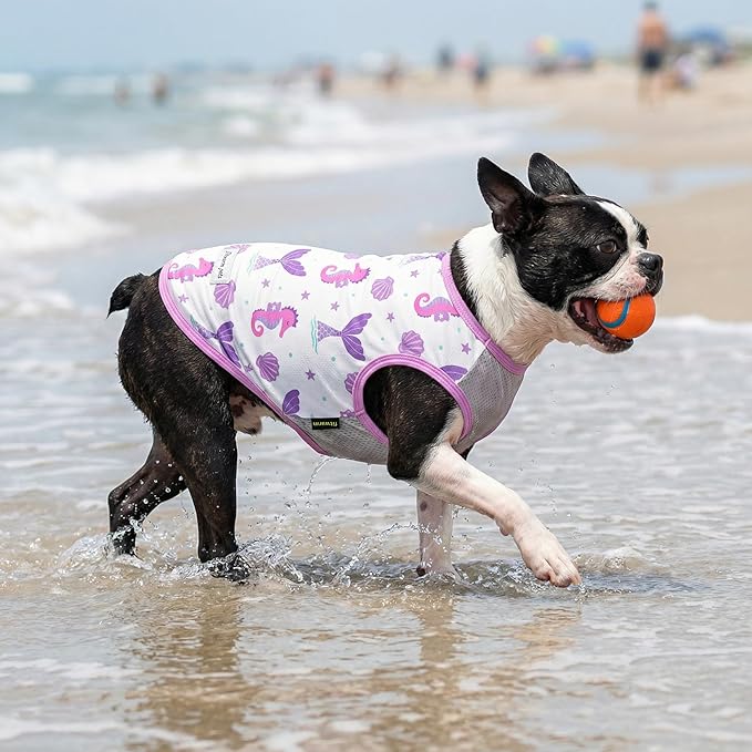 Fitwarm 2 Pack Mermaid & Scale UPF 50+ UV Sun Protection Dog Shirt, Lightweight Cooling Vest, Quick Dry Summer Clothes for Small Dogs Girl, Pet Outfit, Purple, Pink, White, XXL