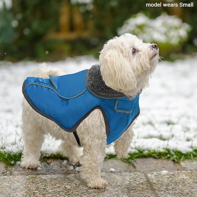 Dog Winter Coat - Warm Dog Clothes for Rain Snow Wind Cold Weather - Reflective Blue Adjustable Windproof Pet Vest Jacket with Leash Hole for Small Medium Large Dogs Indoor Outdoor