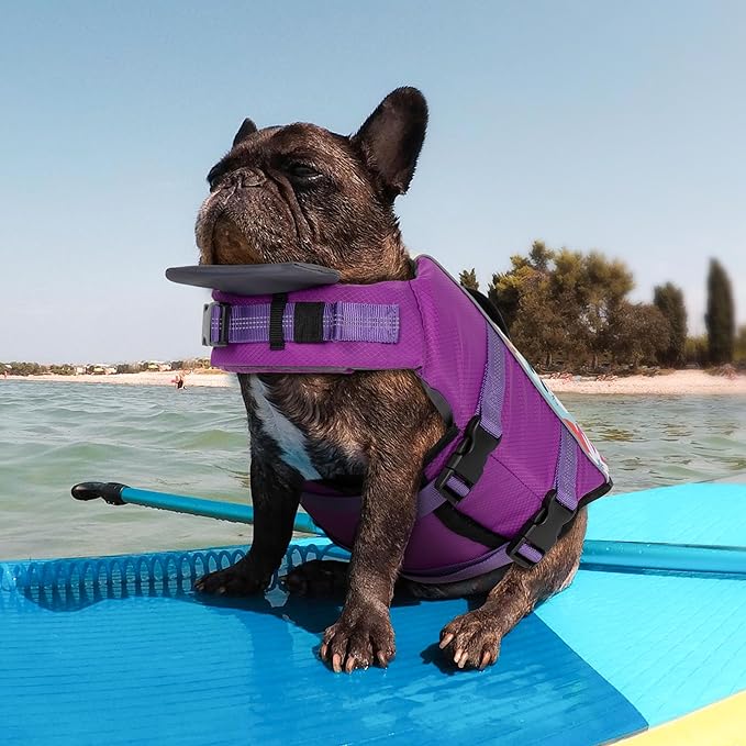 Cyeollo Dog Life Vests for Boating - High Buoyancy Small Dog Life Jacket with Chin Float, Adjustable, Purple