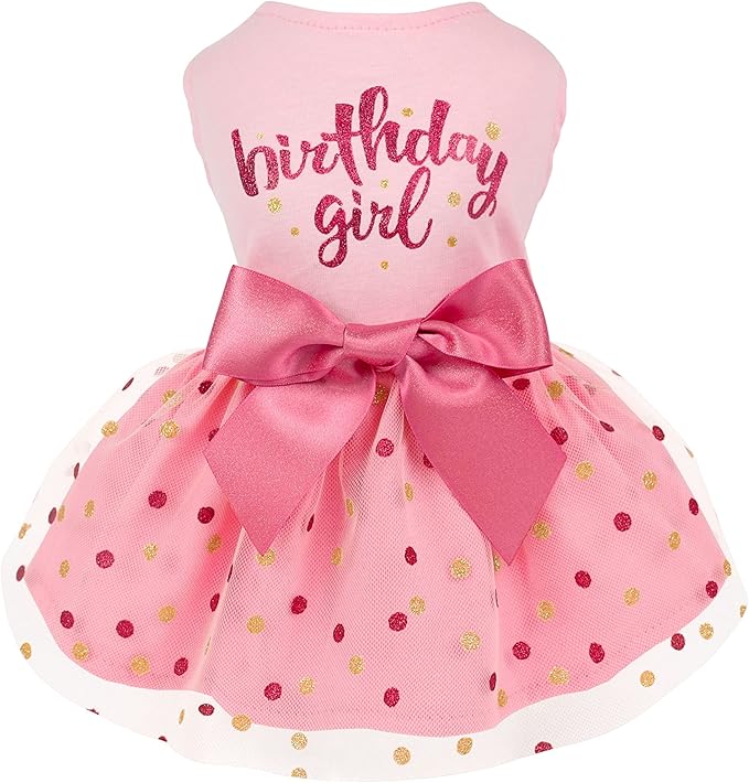 Fitwarm Birthday Girl Dog Tulle Dress, Dog Clothes for Small Dogs Girl, Cat Apparel, Pink, XX-Small