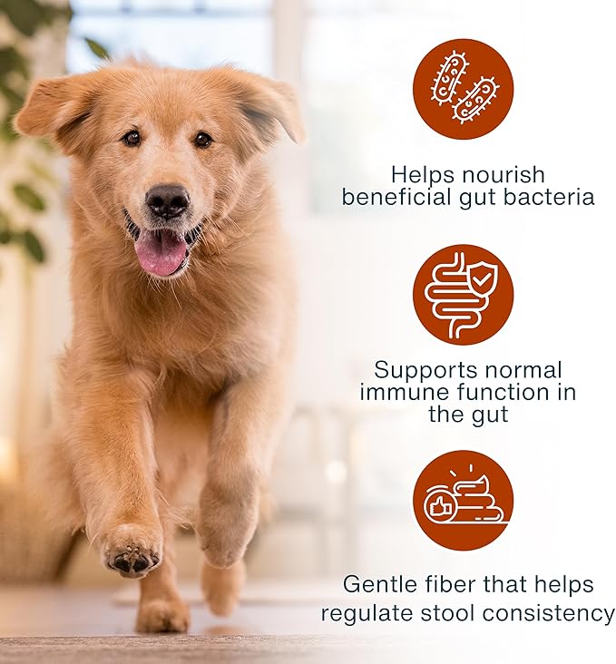 JustFoodForDogs JustFresh Boost Sensitive Stomach Dog Food Topper with Fiber for Gut Support & Digestive Health, Human-Grade Fresh Pet Meal Booster, 8 oz Pouches - 8 Pack