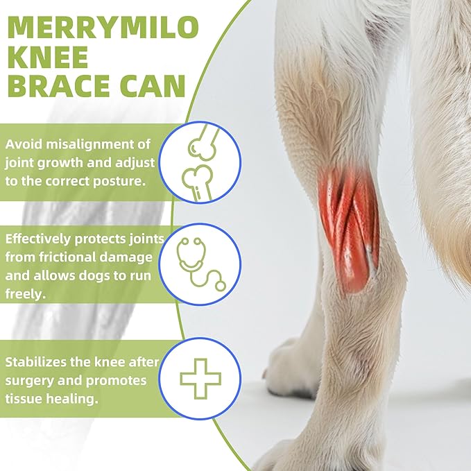 Dog Hip Brace, Knee & Leg Support Brace for ACL Recovery, Ligament Injury - Breathable & Adjustable Dog Leg Brace for Senior Dogs, Post-Surgery Rehabilitation & Mobility Aid(Size XL)