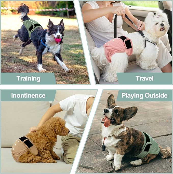 Washable Female Dog Diapers - Premium Reusable Diapers for Doggie in Heat - Highly Absorbent Dog Diapers Female for Pet Incontinence with Adjustable Snaps (Pink, XXL)