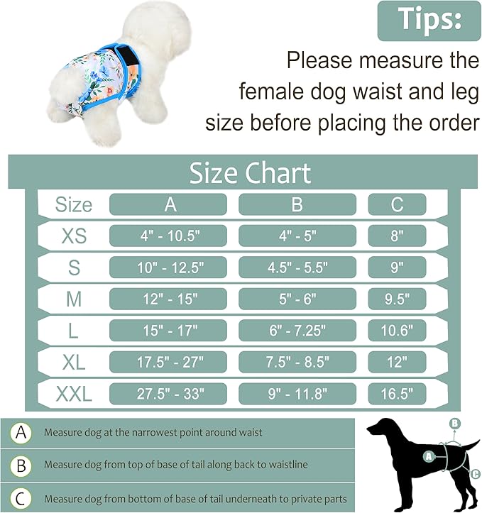 Dog Diapers Female- Reusable Diapers for Doggie in Heat - Highly Absorbent for Pet Incontinence with Adjustable Snaps Green, M