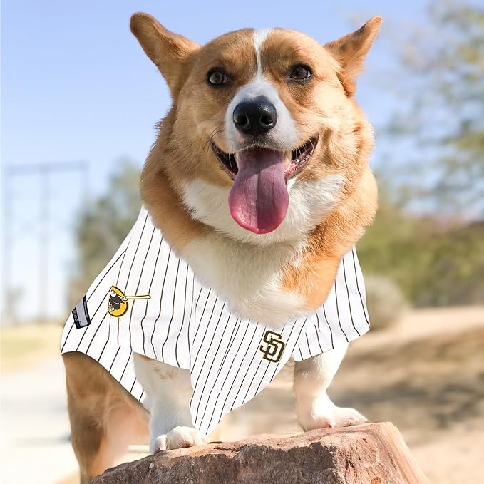 MLBPA Fernando Tatis Jr. Pet Jersey - San Diego Padres Mesh Cat Jersey, X-Small