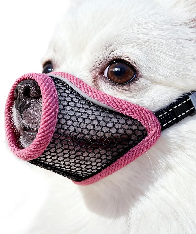 Dog Muzzle for Small Medium Dogs to Prevents Biting for Short Snouted Dogs,Westie Cockapoo Dachshund,Soft Breathable Lightweight Mesh,Open Front,for Grooming Vet Visits(Cherry Red, S)