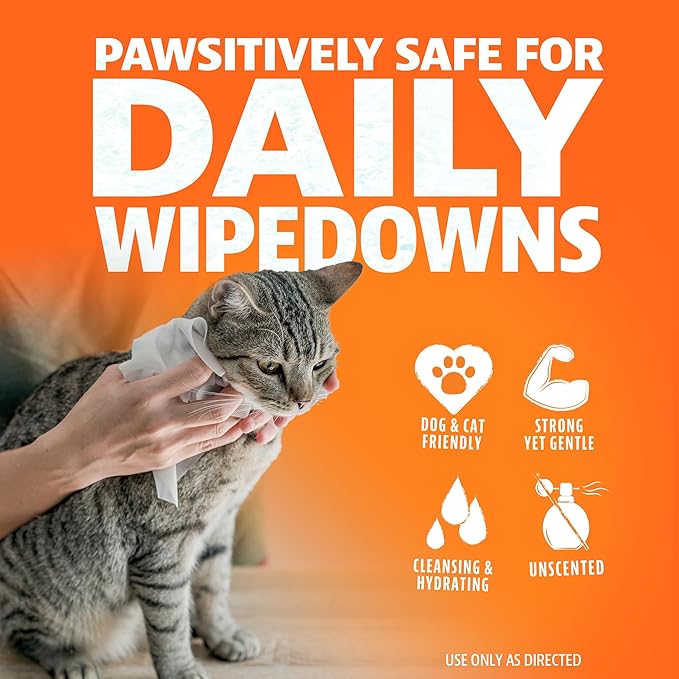 ANGRY ORANGE Pet Wipes + Odor Eliminator – Unscented Grooming Wipes for Dogs and Cats (80 ct) + Citrus Cleaner for Pet Urine, Stains and Smells (24 oz)