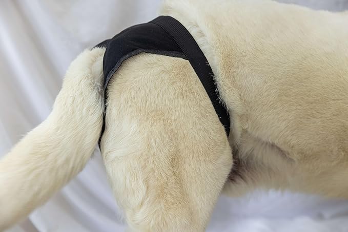 Dog Pants with 3 Replace Diaper, Female Dog Heat Cycle Reusable Dog Panties for Dogs in Heat Black S