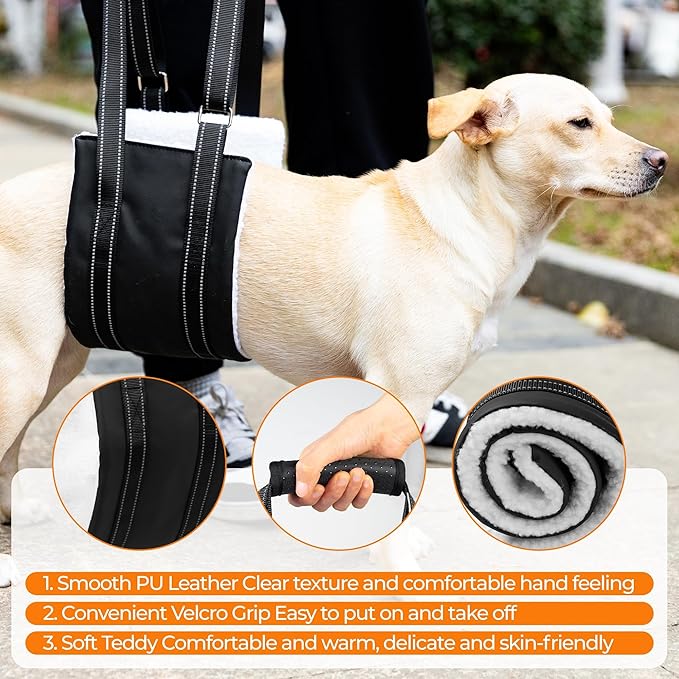 Dog Lift Harness, Adjustable Comfortable Dog Sling with Handle for Hind Leg Support Soft Lift Support and Rehab Harness for Weak Rear Legs, Helps Senior, Injured, Disabled and After ACL Surgery Dogs L