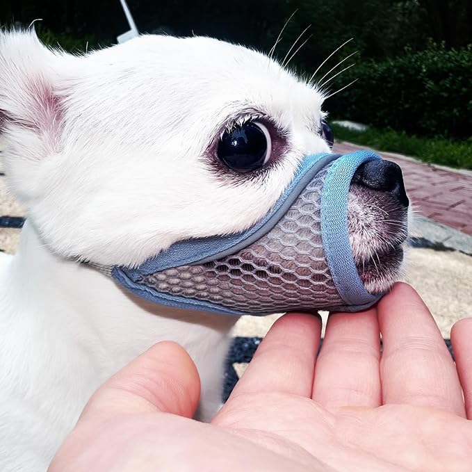 Dog Muzzle for Small Medium Dogs to Prevent Biting for Brachycephalic Dogs,Mini Poodle,Corgi,Short Snout Friendly,Soft Breathable Lightweight Mesh,Open Front,for Grooming Vet Visits(Summer Blue, M)