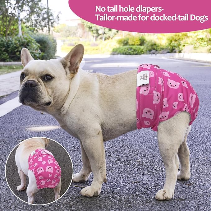 CuteBone Washable Dog Diapers Female No Tail Hole 3 Pack Reusable Doggie Period Training Pants for Docked-Tail Frenchie French Bulldog Boston Terrier Without Tail WWD15S