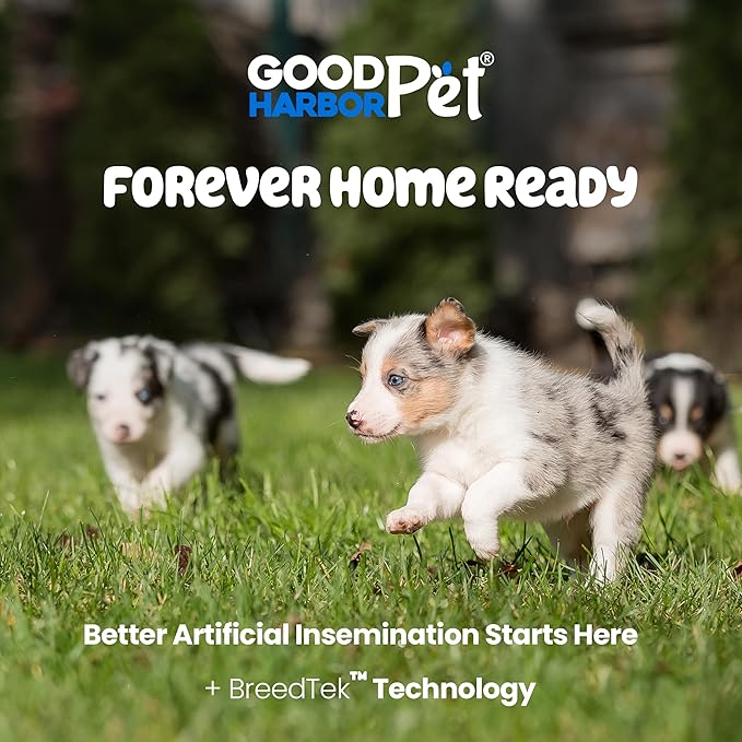 Good|Harbor Pet | Canine AI Artificial Insemination Dog Breeding Kit - Sizes: (Small), Med, & XLarge Breed