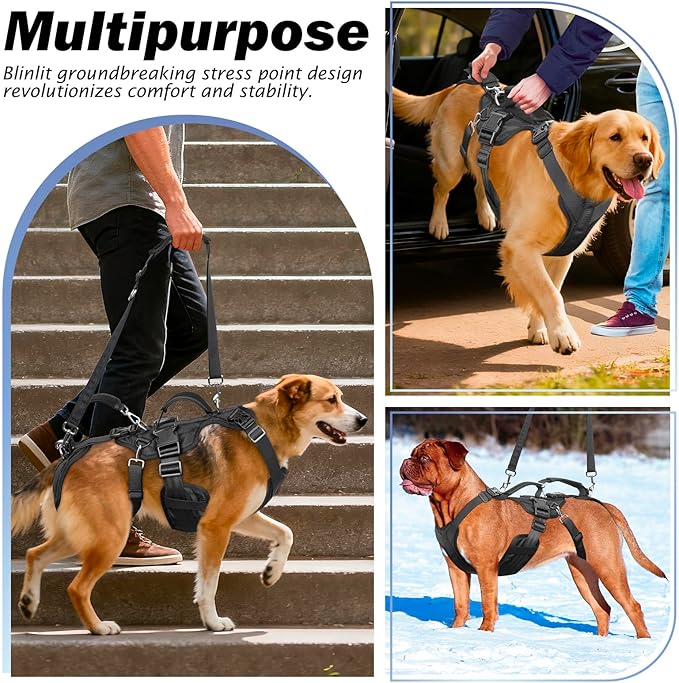 Dog Lift Harness for Large/Medium Dogs, Dog Support & Recovery Sling for Full-Body & Hind/Front Leg – Pee-Able Design – All-in-One Ideal Assistance for Senior, Disabled, Arthritic & ACL Canines (XXL)