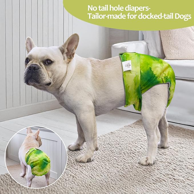 CuteBone Washable Dog Diapers Female No Tail Hole 3 Pack Reusable Doggie Period Training Pants for Docked-Tail Frenchie French Bulldog Boston Terrier Without Tail WWD32XS