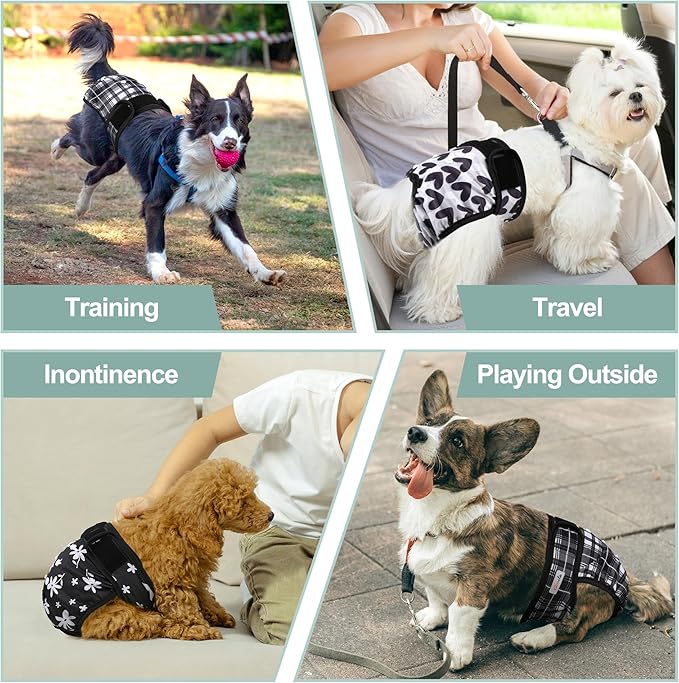 Washable Female Dog Diapers (5 Pack) - Doggie Reusable Small Medium Large Dog Diapers for Doggy Puppy Female in Period - Highly Absorbent Dog Heat Panties,S Plus,Black Set