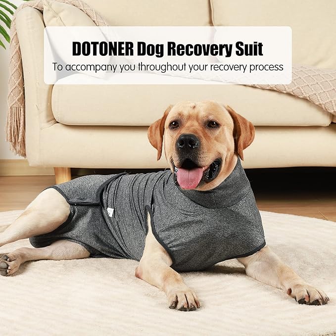 HEYWEAN Full Body Dog Diaper with a Puppy Nappies Physiological Dog Surgery Recovery Suit for Male Female Dogs