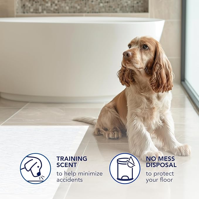Scott Pet Guard Dog Pads - Dog Training Pee Pads for Puppies, Medium & Large Dogs - Up to 12 Hour Absorbent Odor Control - Easily Disposable Pee Pads - Size XL - 30" x 36" - 40 Pack