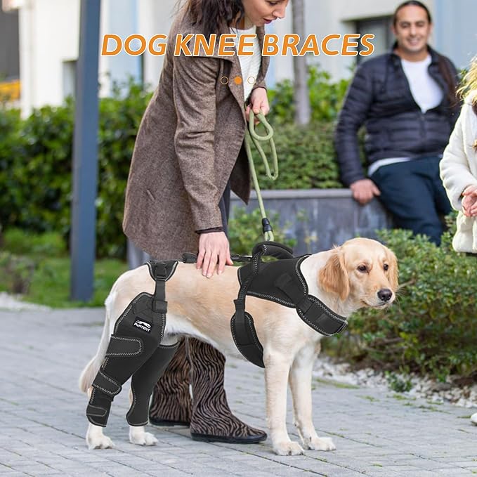Dog ACL Brace Hind Leg - Provides Joint Protection and Warmth, Upgraded Adjustable Leg and Hip, Dogs Rear Leg Wrap Harness Set for Leg Wound Care and Lick Prevention, XXL