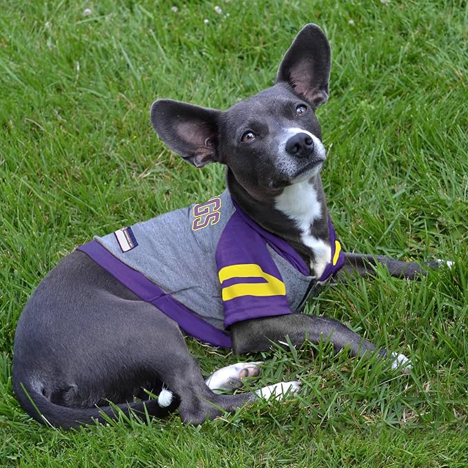 Pets First NFL Minnesota Vikings Hoodie for Dogs & Cats. | NFL Football Licensed Dog Hoody Tee Shirt, Small| Sports Hoody T-Shirt for Pets | Licensed Sporty Dog Shirt