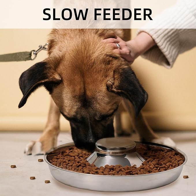 Stainless Steel Puppy Bowls, Set of 2 Puppy Feeder, Dog Food and Water Bowl, Food Feeding Weaning for Small Medium Large Dogs, Pets, M