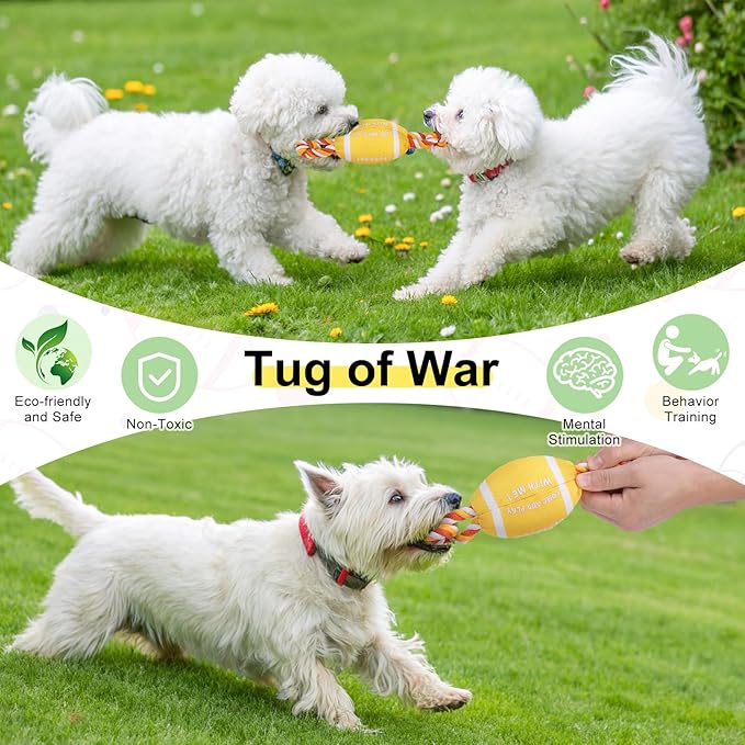 BEAUTYZOO Floating Dog Pool Toys for Small/Medium Dogs - Durable Chew-Resistant Squeaky Water Dog Toy with Rope, Interactive Fetch & Tug of War, Summer Swimming Beach Play (Oxford Fabric)