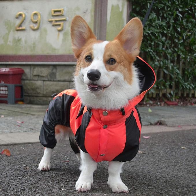 Lovelonglong Welsh Corgi Dog Hooded Raincoat, Dachshund Rain Jacket Poncho Waterproof Clothes with Hood Breathable 4 Feet Four Legs Rain Coats for Corgis Dachshund Red D-M